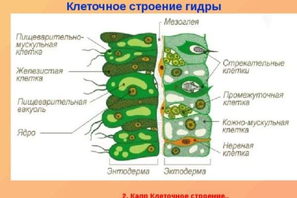 Кракен почему не заходит