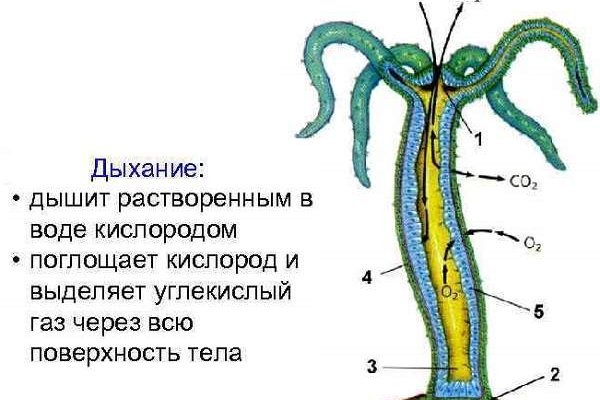 Кракен маркетплейс что там